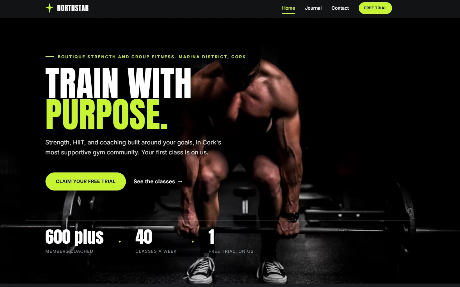 Desktop preview of the Northstar Fitness CICADA demonstration website