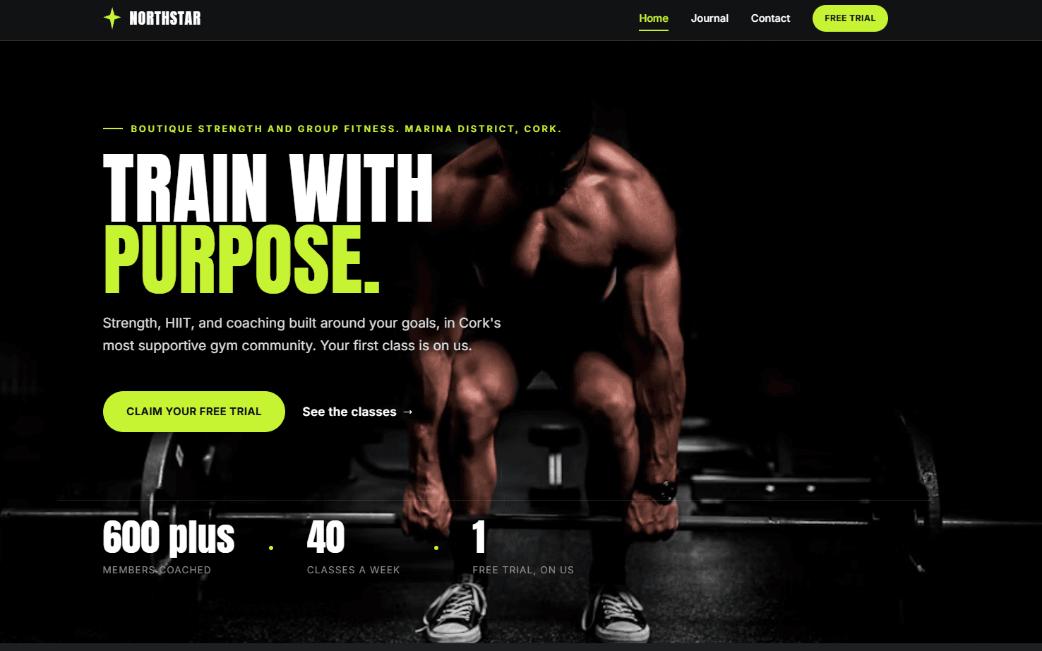 Desktop preview of the Northstar Fitness CICADA demonstration website